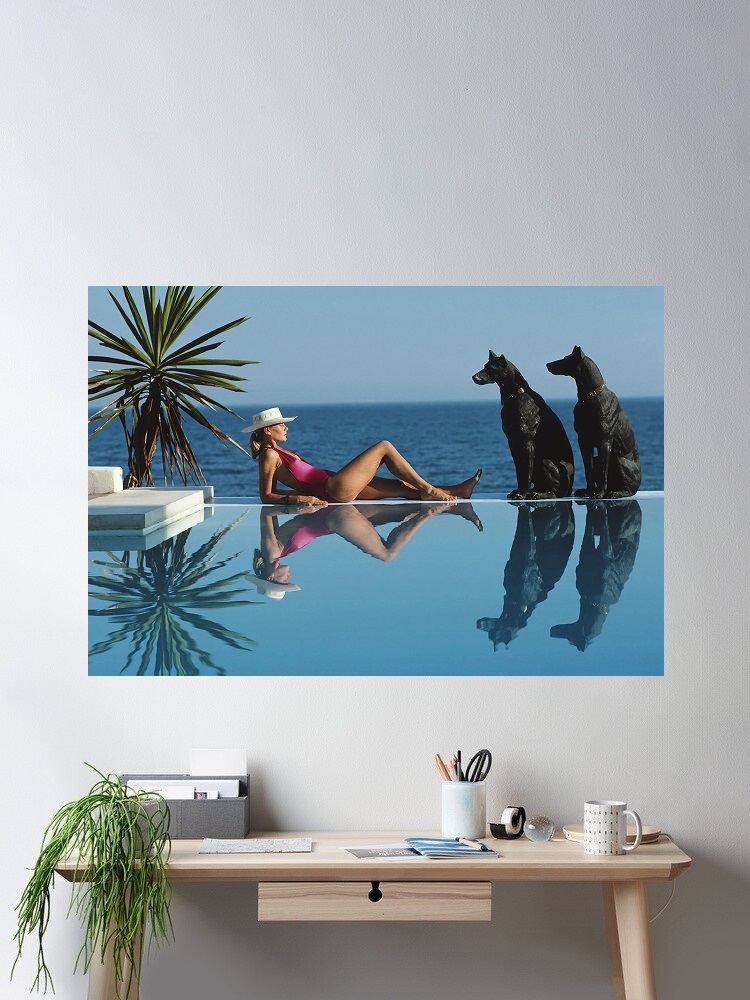 Retro Poolside Host Luxury Lif - Luxury Lifestyle Homes avis et prix
