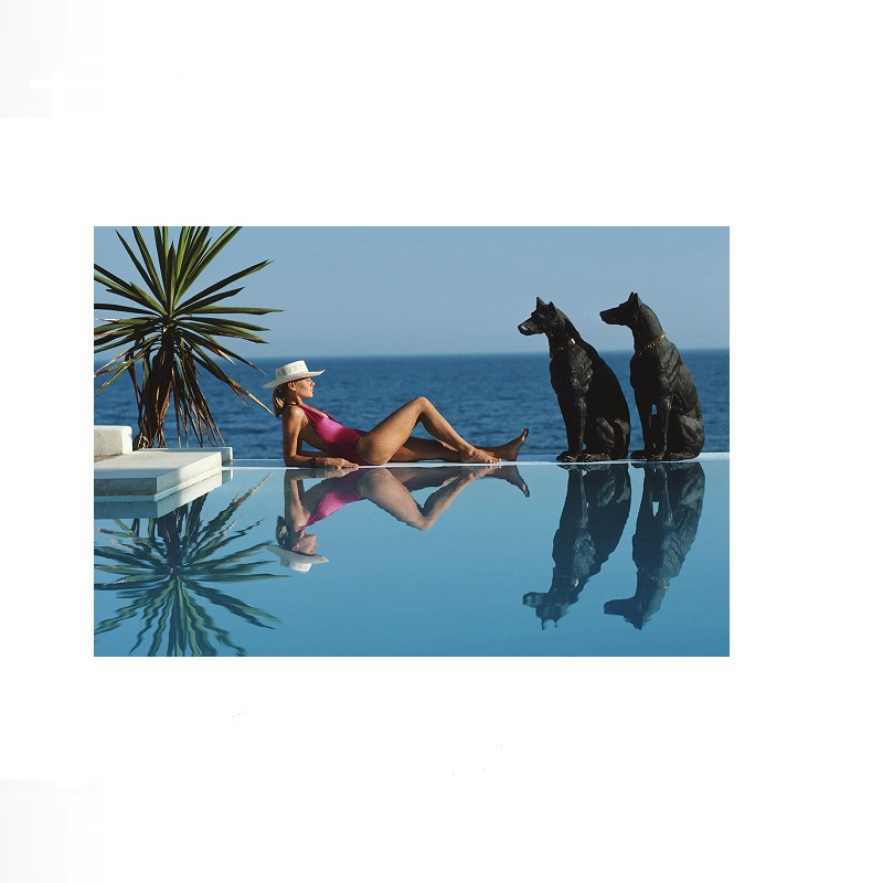 Retro Poolside Host Luxury Lif - Luxury Lifestyle Homes avis et prix